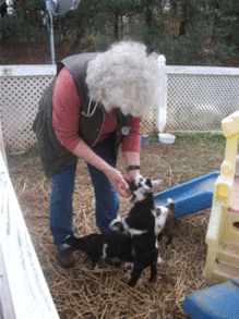 pets preventive care